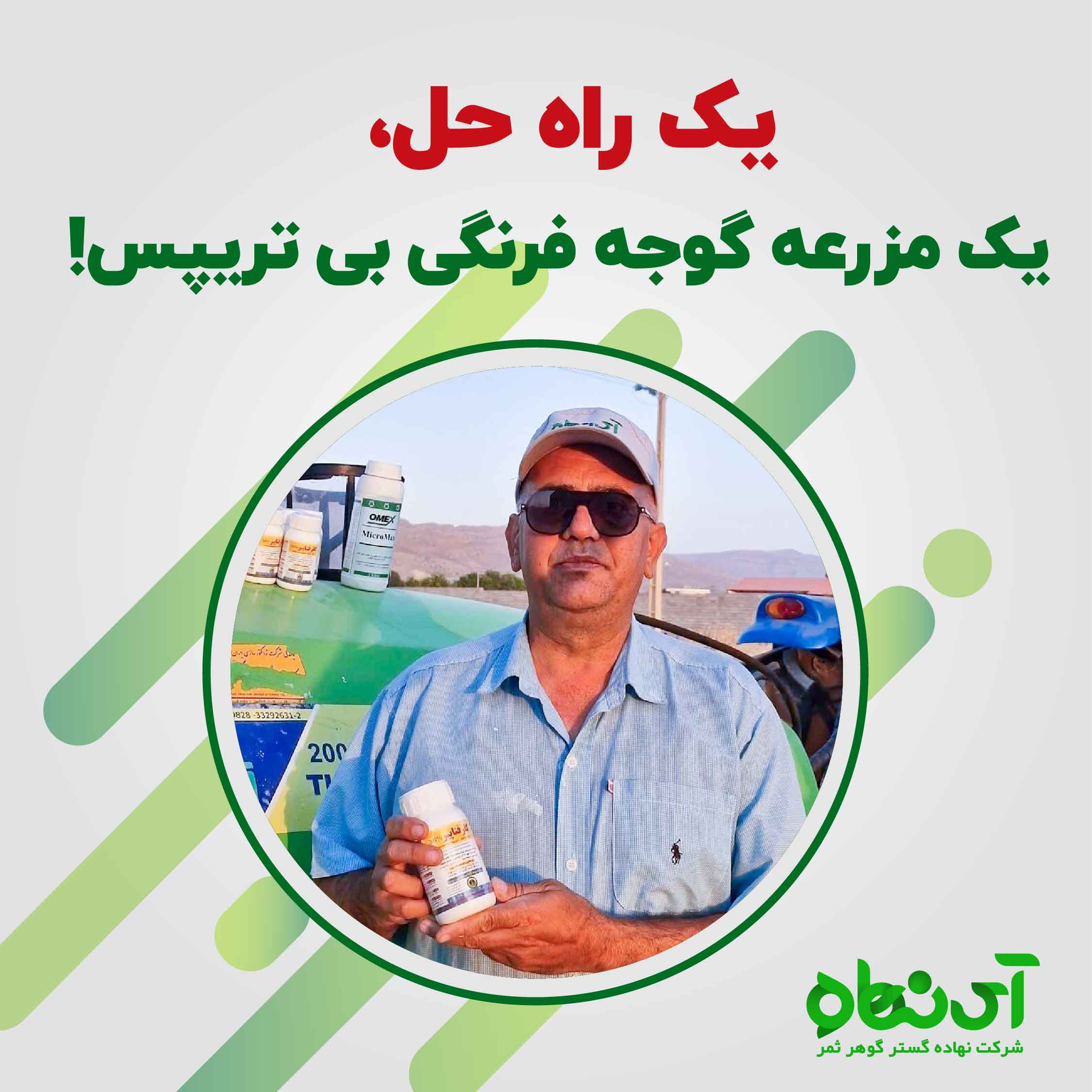 یک راه حل، یک مزرعه گوجه فرنگی بی تریپس!